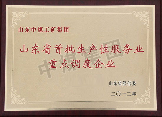 荣誉资质